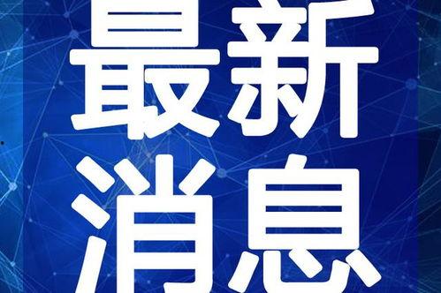 四哥哈尔滨爆料视频最新,四哥视频揭秘城市新动态  第1张 四哥哈尔滨爆料视频最新,四哥视频揭秘城市新动态  第1张
