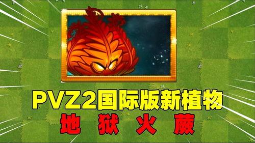 爆料地狱火蕨最新视频,揭秘植物界的奇异现象  第3张 爆料地狱火蕨最新视频,揭秘植物界的奇异现象  第3张